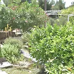 Garten By Interhome Ražanj