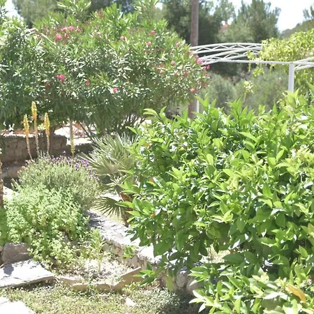 Garten By Interhome Ražanj