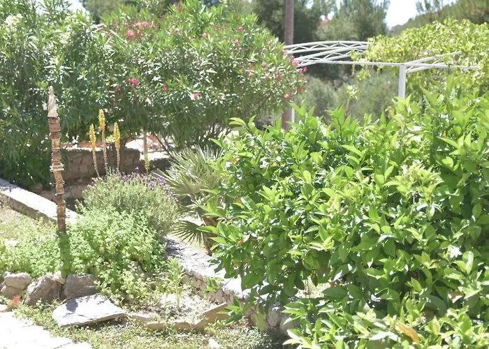 Garten By Interhome Ražanj